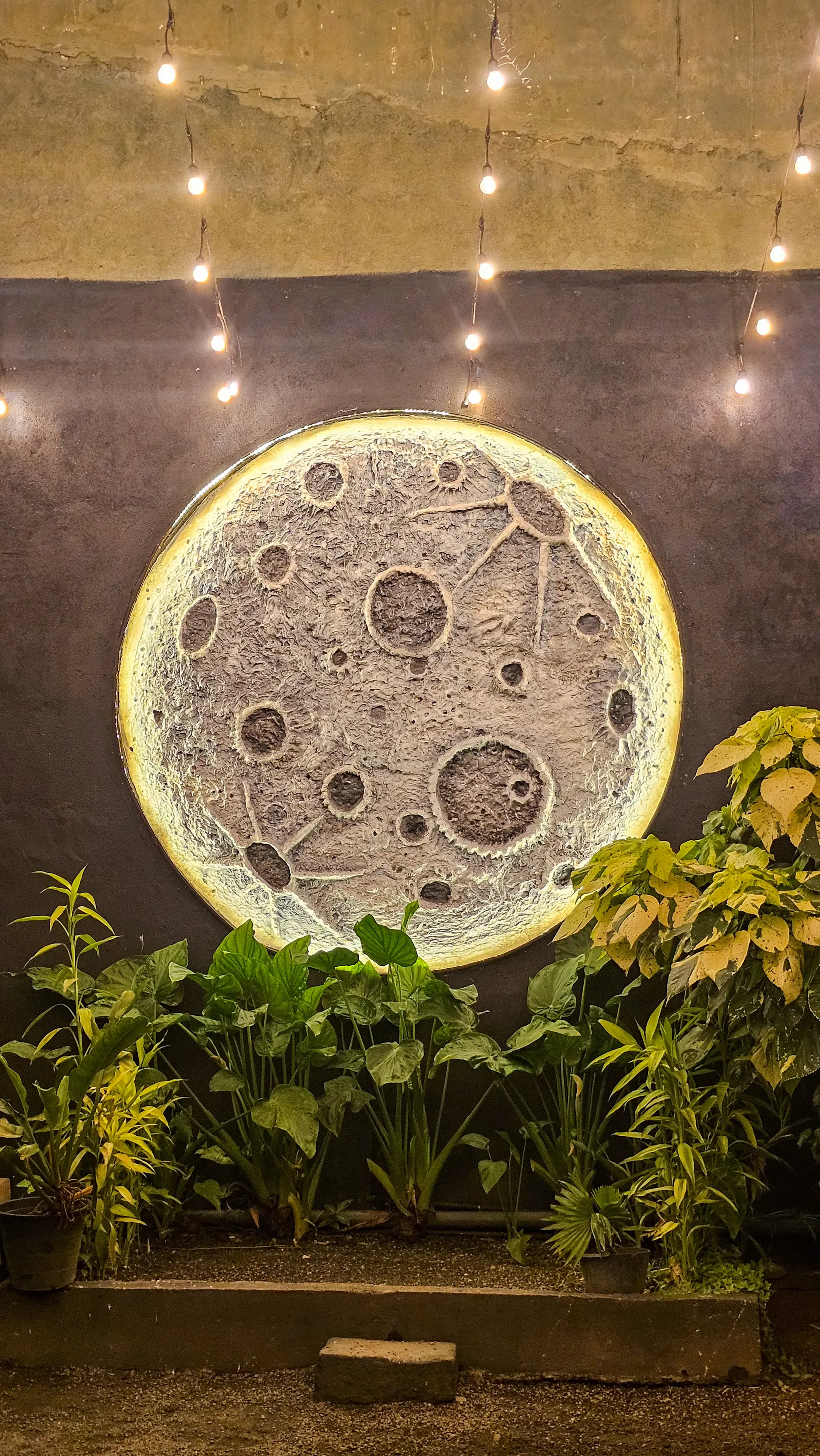 ISLE OF BEAUTY PHASE I Gallery 8