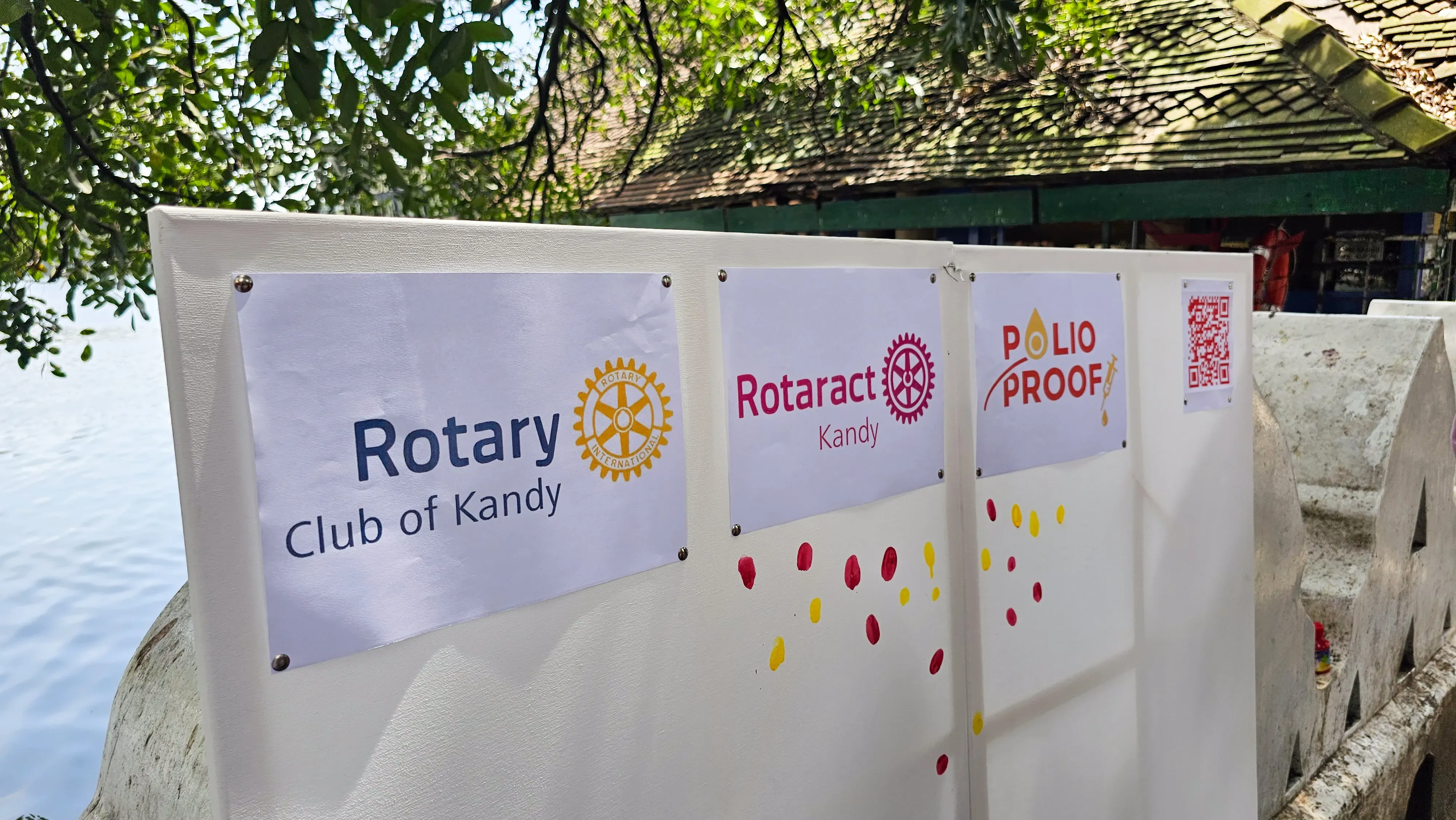 POLIO PROOF Gallery 4