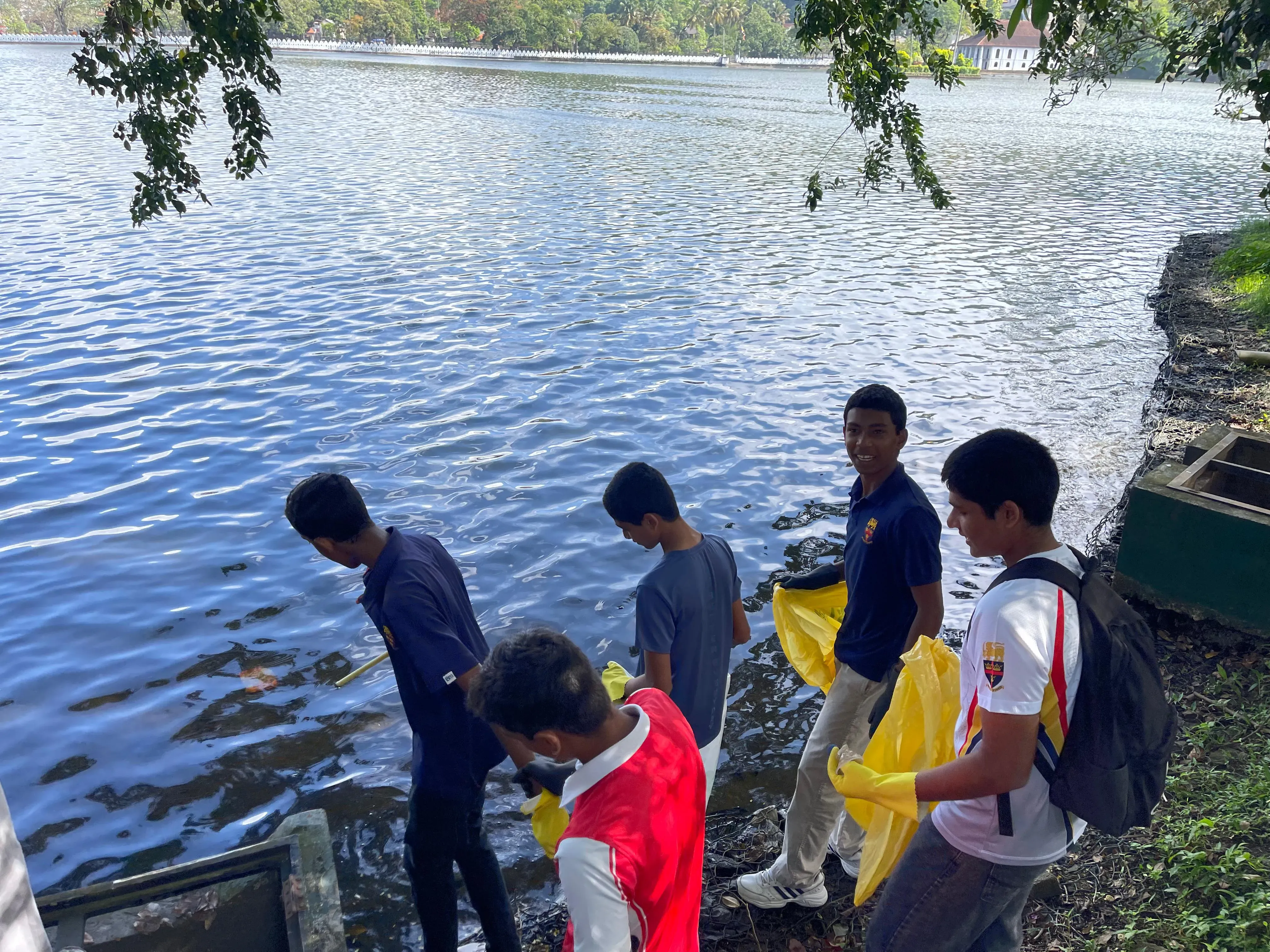 CLEANUP SL Gallery 4