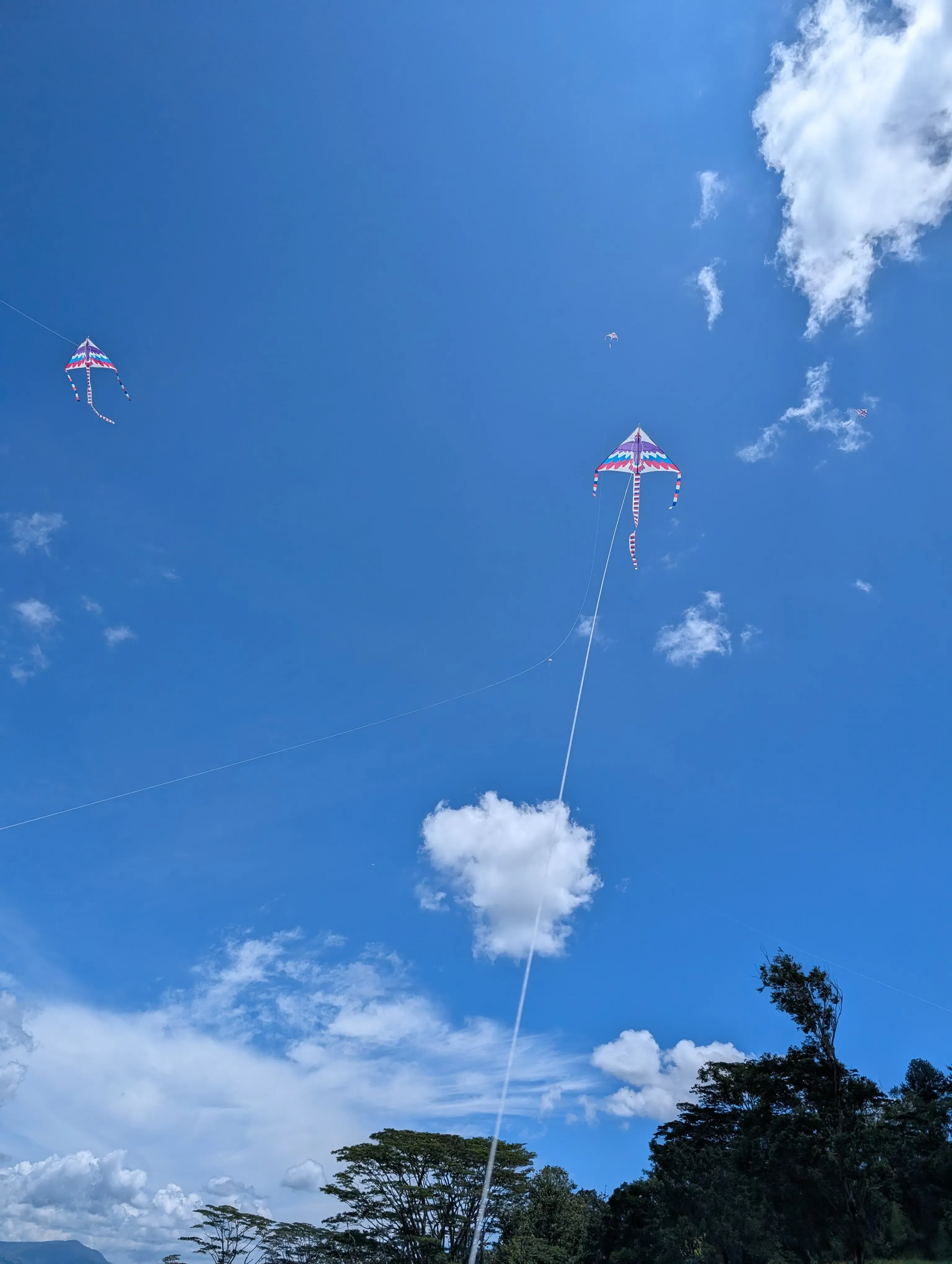 සරැංගල් Gallery 8