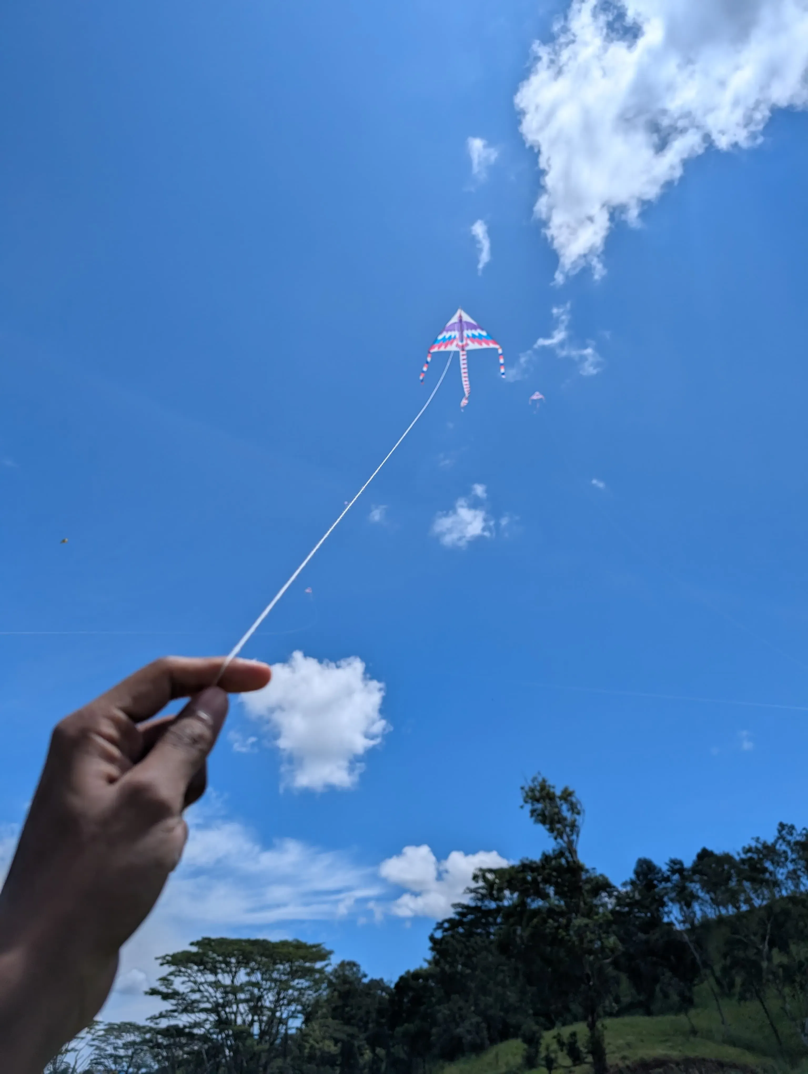 සරැංගල් Gallery 11